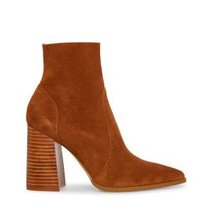 Steve Madden Julina Chestnut Suede Women's Booties Brown | SM-954RF