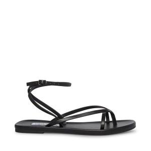 Steve Madden Juno Women's Sandals Black | SM-785ES