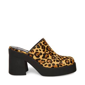 Steve Madden Kam Leopard Women's Heels Leopard | SM-250TE