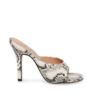 Steve Madden Karina Snake Women's Heels Snake | SM-361YA