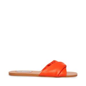 Steve Madden Kendria Women's Sandals Red | SM-856VH