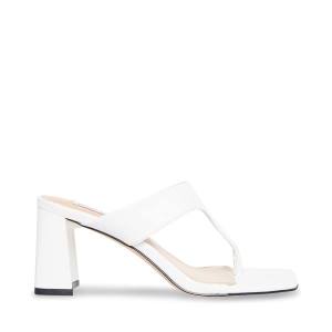 Steve Madden Lamorna Women's Heels White | SM-514FL