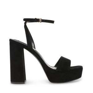 Steve Madden Lessa Suede Women's Heels Black | SM-254OC