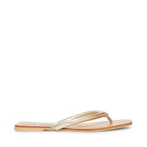 Steve Madden Lighthouse Women's Sandals Gold | SM-690MR