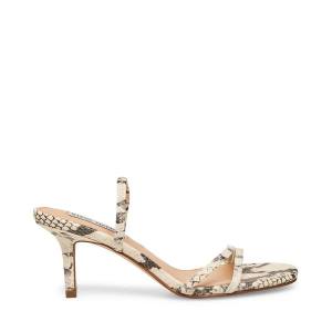 Steve Madden Loft Snake Women's Heels Beige Snake | SM-259LU