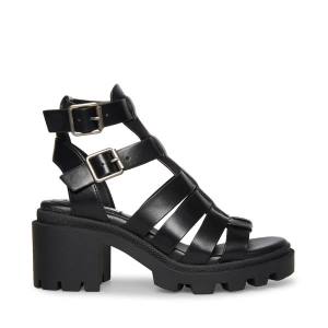 Steve Madden Maxen Women's Sandals Black | SM-275XI