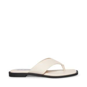 Steve Madden Norie Bone Leather Women's Sandals Beige | SM-958WA