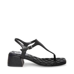 Steve Madden Pepper Women's Sandals Black | SM-728HA