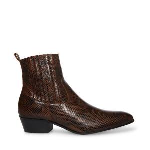 Steve Madden Pierre Snake Men's Boots Brown Snake | SM-518JU