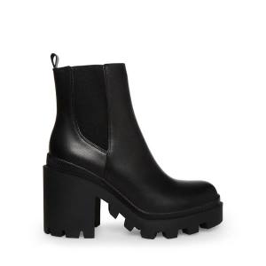 Steve Madden Roxie Leather Women's Booties Black | SM-394JZ