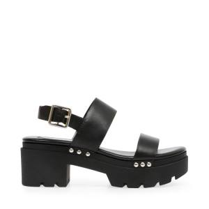 Steve Madden Shawn Leather Women's Sandals Black | SM-461NB