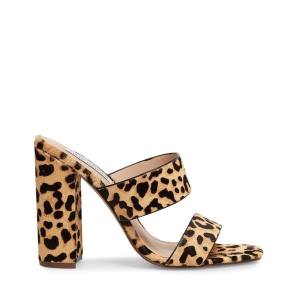 Steve Madden Tegan-l Leopard Women's Heels Leopard | SM-257EQ