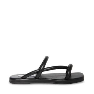 Steve Madden Tropic Women's Sandals Black | SM-357MG