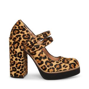 Steve Madden Twice-p Leopard Women's Heels Leopard | SM-748NH